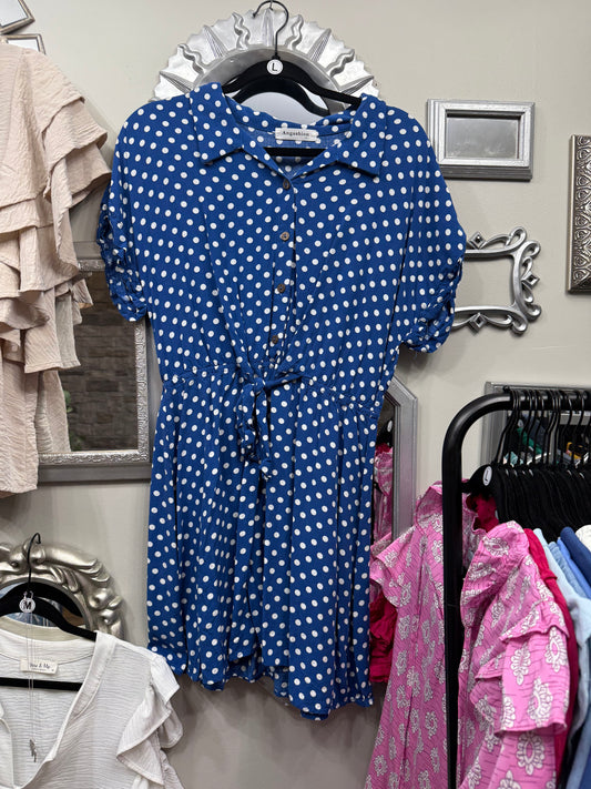 Blue Polka Dot Dress